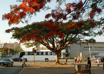 Город Лусака. Замбия. Фото 4 – фотографии Замбии