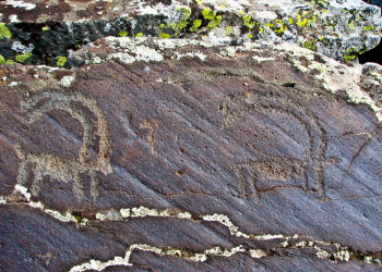 Петроглифы Ухтасара (Ughtasar Petroglyphs) – фотографии Армении
