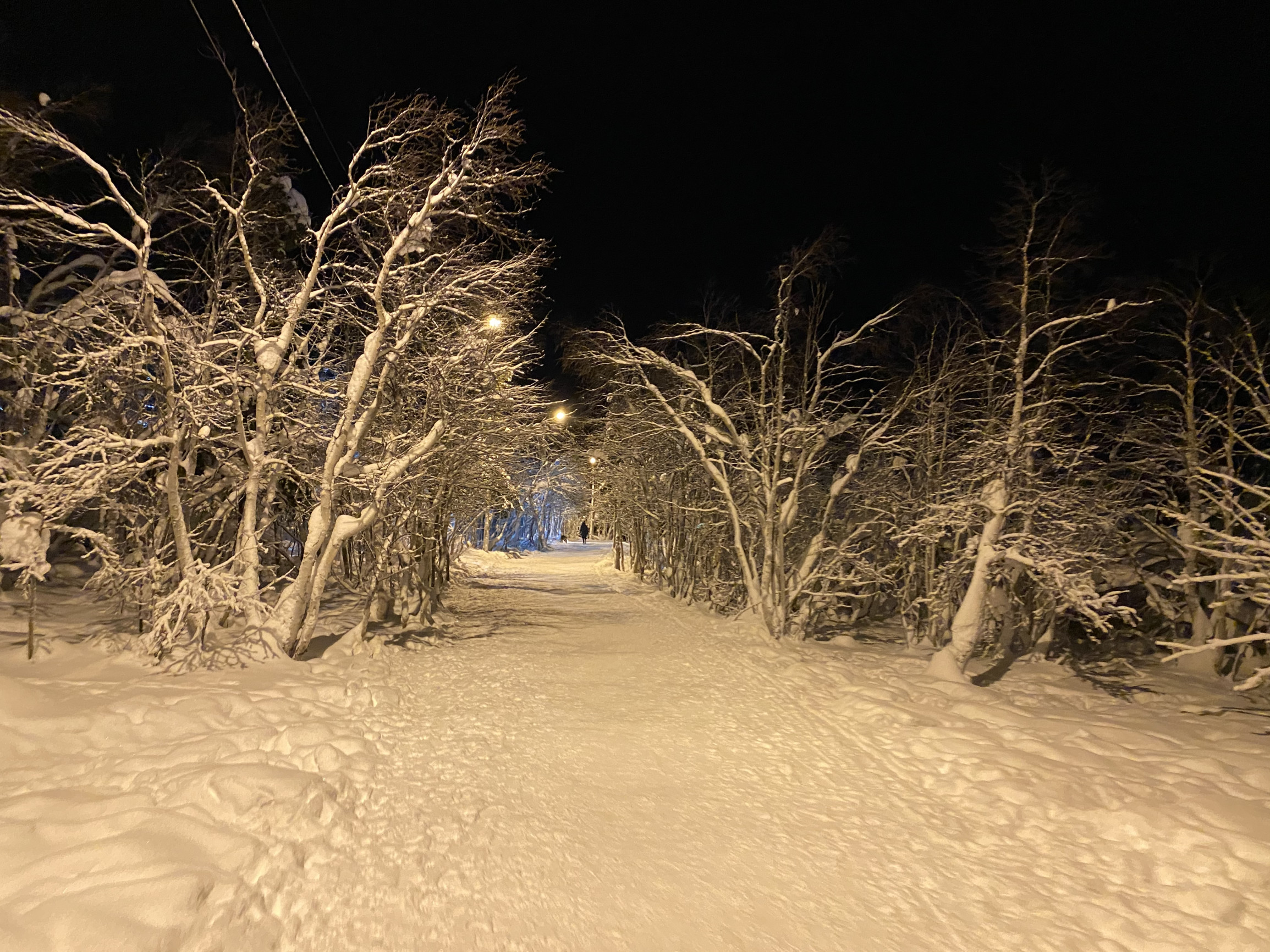 Городской парк в городе Кировск – фотографии России