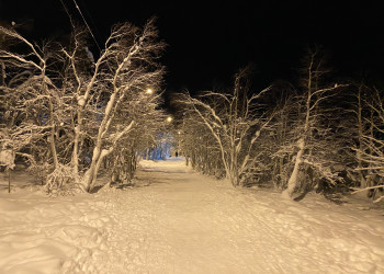 Городской парк в городе Кировск – фотографии России