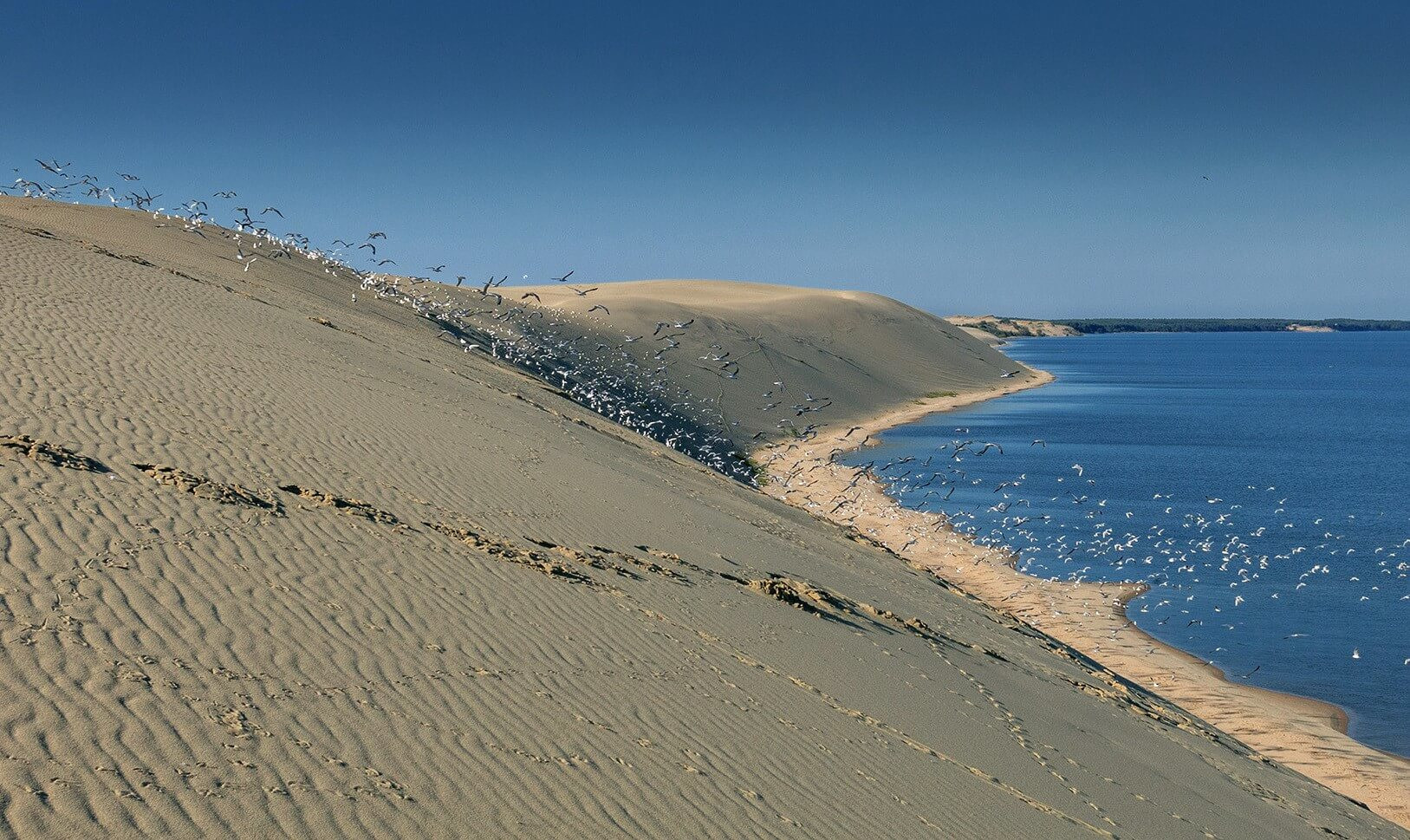 В заповеднике Куршской косы имеются несколько популярных туристических маршрутов – фотографии России