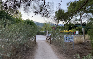 Дорожка с пляжа Чиралы в сторону отеля Kimera Lounge – фотографии Турции