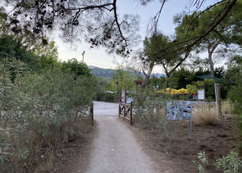 Дорожка с пляжа Чиралы в сторону отеля Kimera Lounge – фотографии Турции