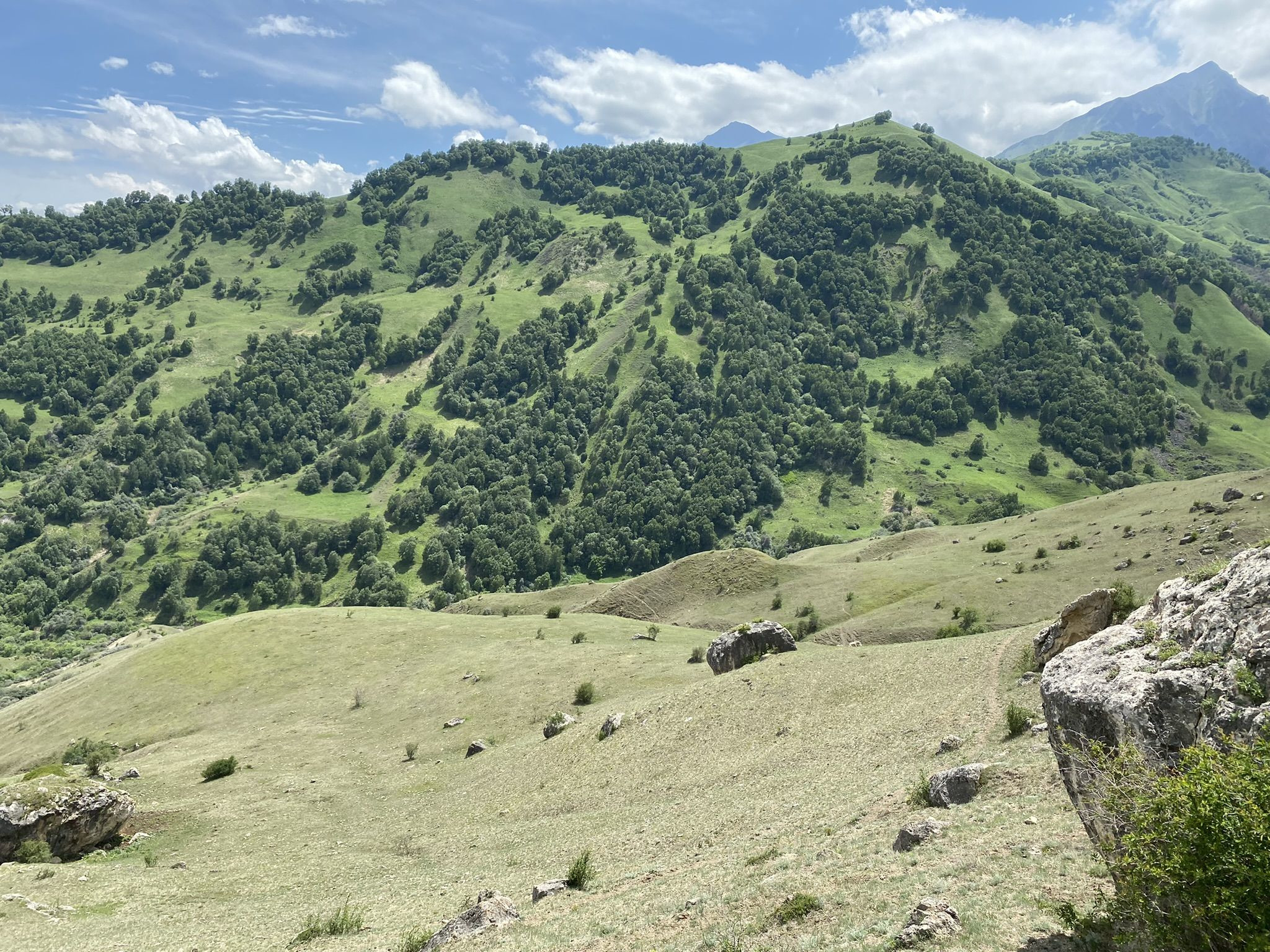 Поездка на перевал Актопрак, июнь 22 – фотографии России