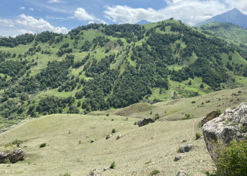 Поездка на перевал Актопрак, июнь 22 – фотографии России