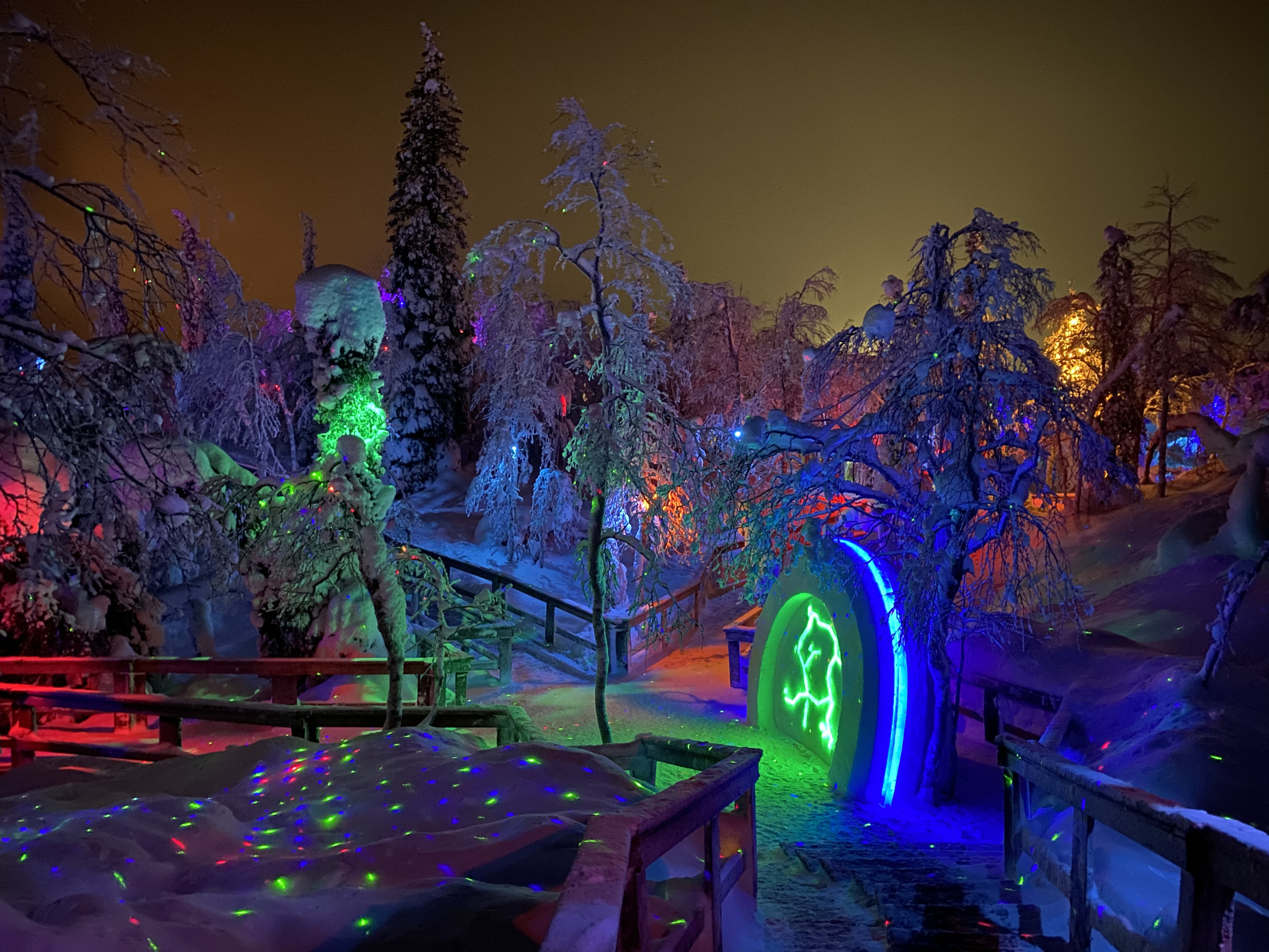 Тропинки в парке «Таинственный лес», Кировск – фотографии России