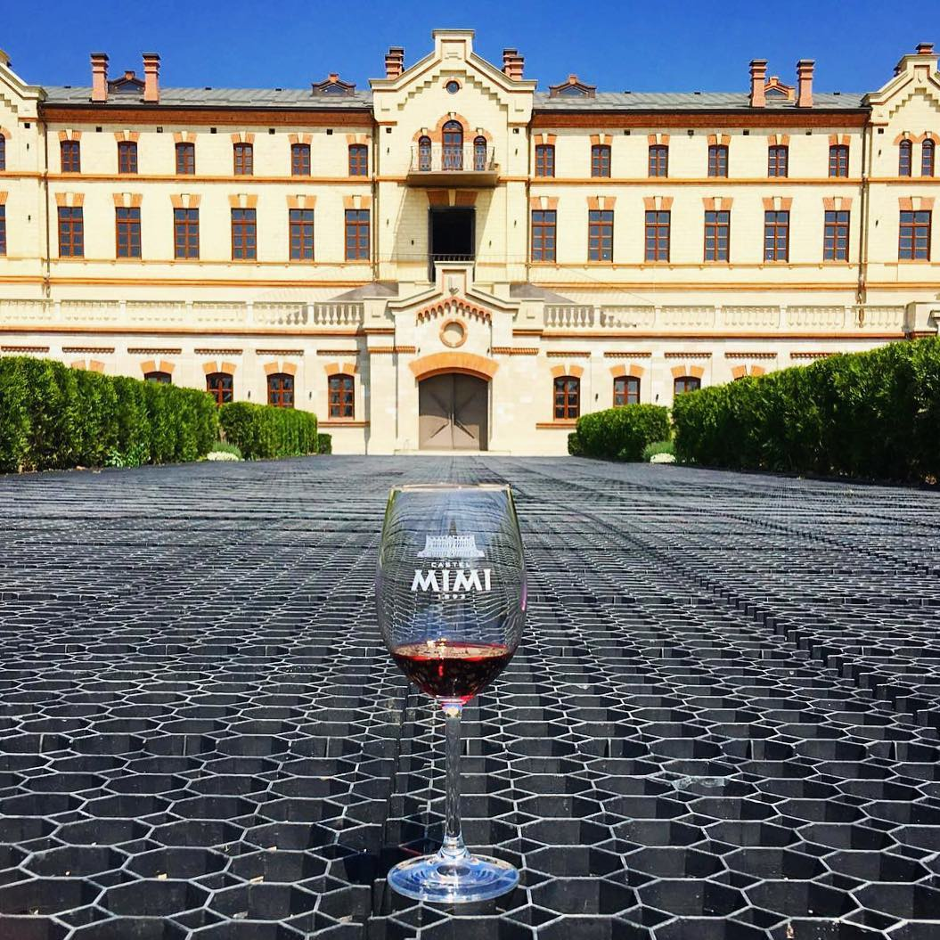 Молдавский замок Мими (Castel Mimi) – фотографии Молдовы