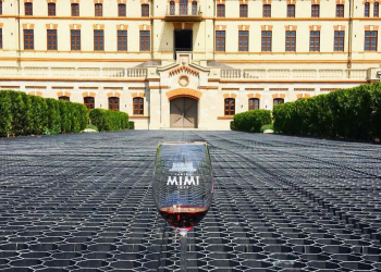 Молдавский замок Мими (Castel Mimi) – фотографии Молдовы