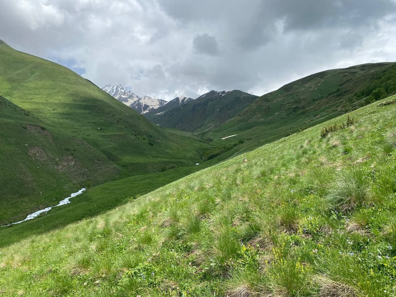 Горные пейзажи в ущелье Цмиаком – фотографии России