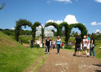 Ботанический сад Куритибы – фотографии Бразилии