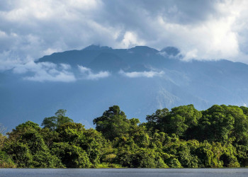 Национальный парк Пико-Бонито – фотографии Гондураса