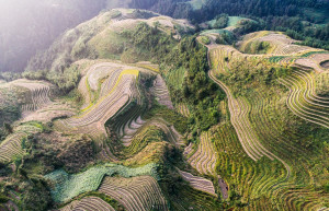 Рисовые террасы Хунхэ-Хани 6 – фотографии Китая