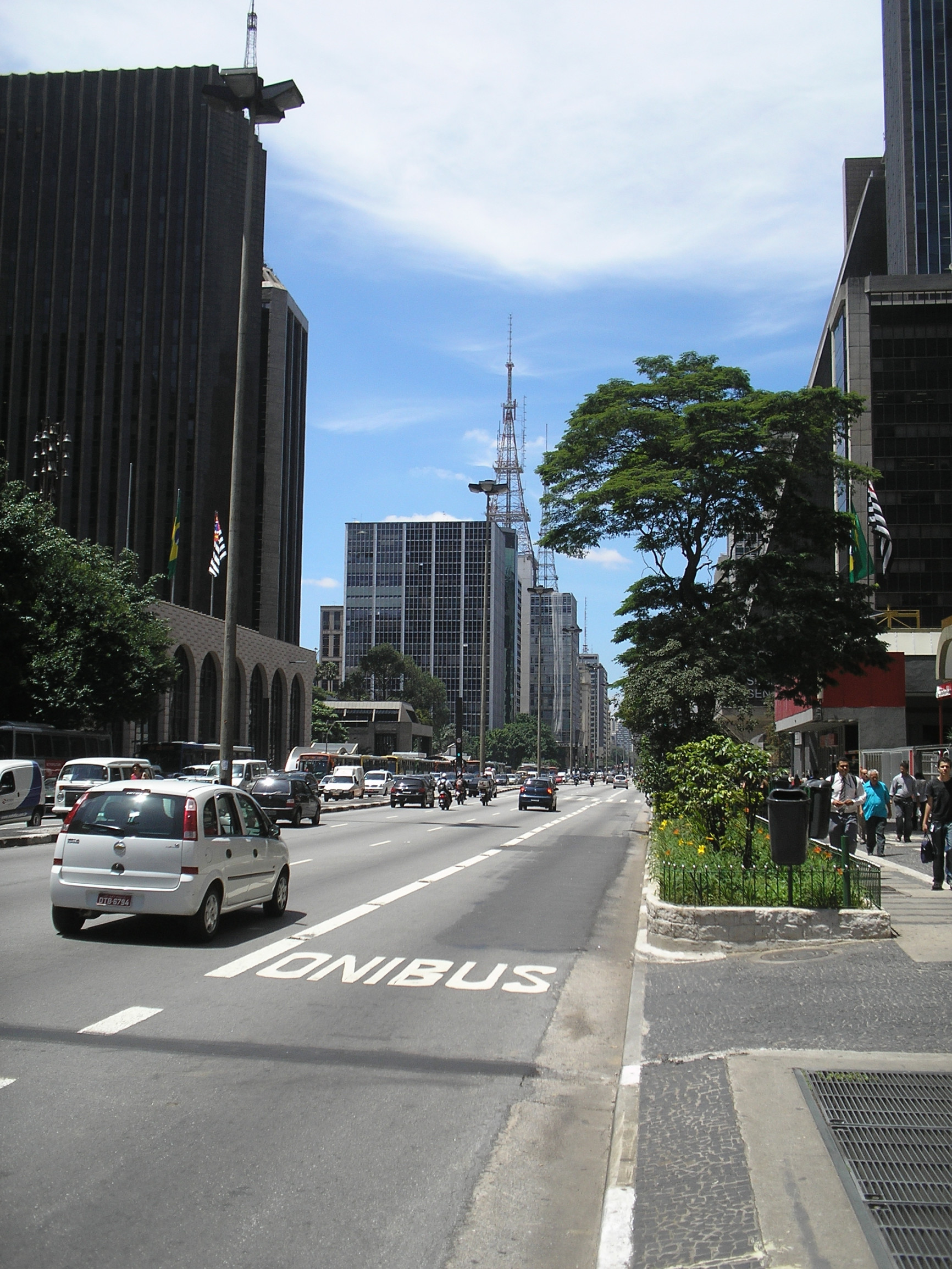Авенида Паулиста, авеню Паулиста (порт. Avenida Paulista) – фотографии Бразилии