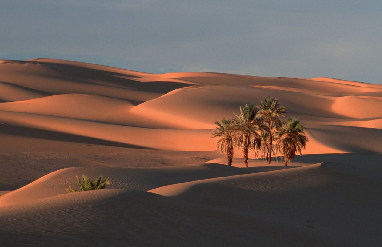 Оазис Убари 6 – фотографии