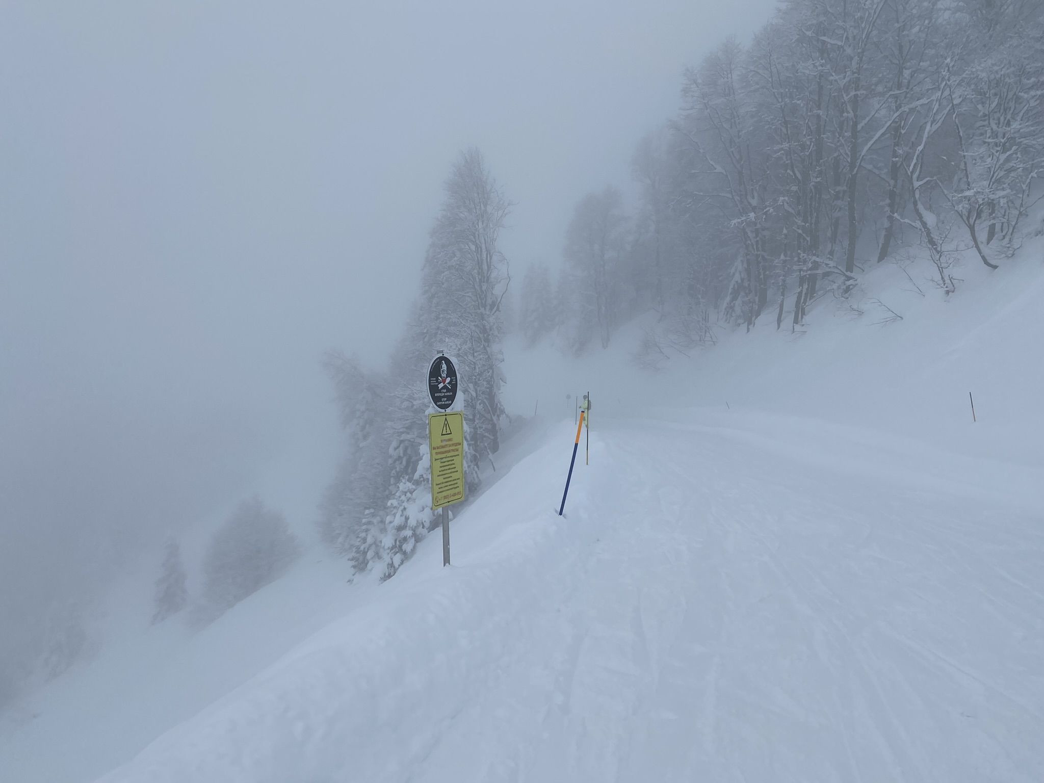 Трасса Календула на Южном склоне Роза Хутор – фотографии России