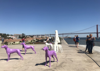 Вид с крыши музея искусства, архитектуры и технологии (Maat museum) в Лиссабоне – фотографии Португалии