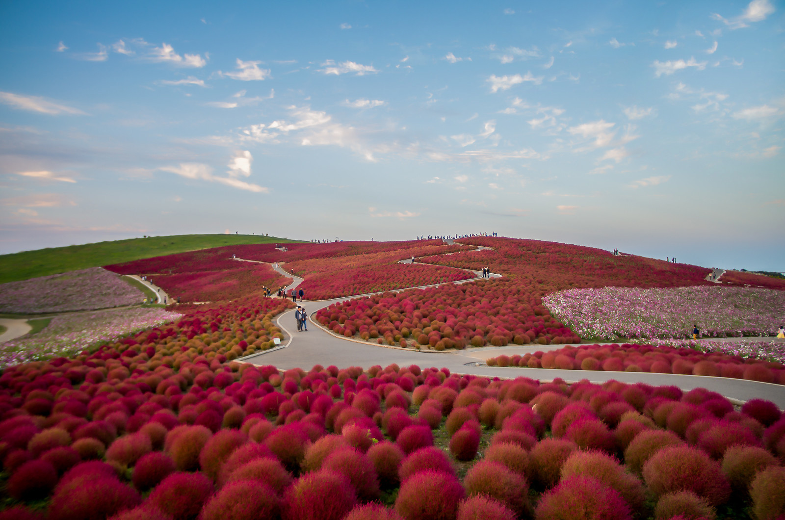 Ухоженные сады парка Хитачи в Хитатинака, Япония – фотографии Японии