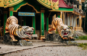 Храм Тигра – фотографии Таиланда