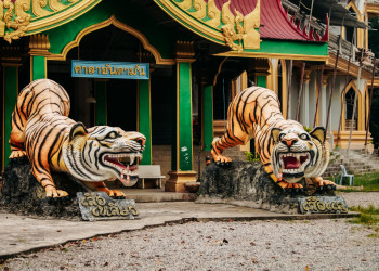 Храм Тигра – фотографии Таиланда