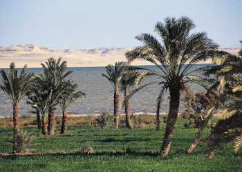 Озеро Карун 12 – фотографии Египта