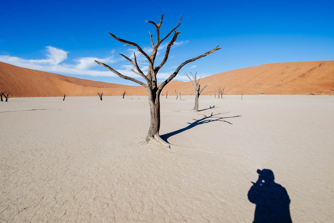 Пейзажи мёртвой долины (Deadvlei), Намибия – фотографии Намибии