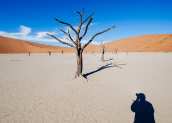 Пейзажи мёртвой долины (Deadvlei), Намибия – фотографии Намибии