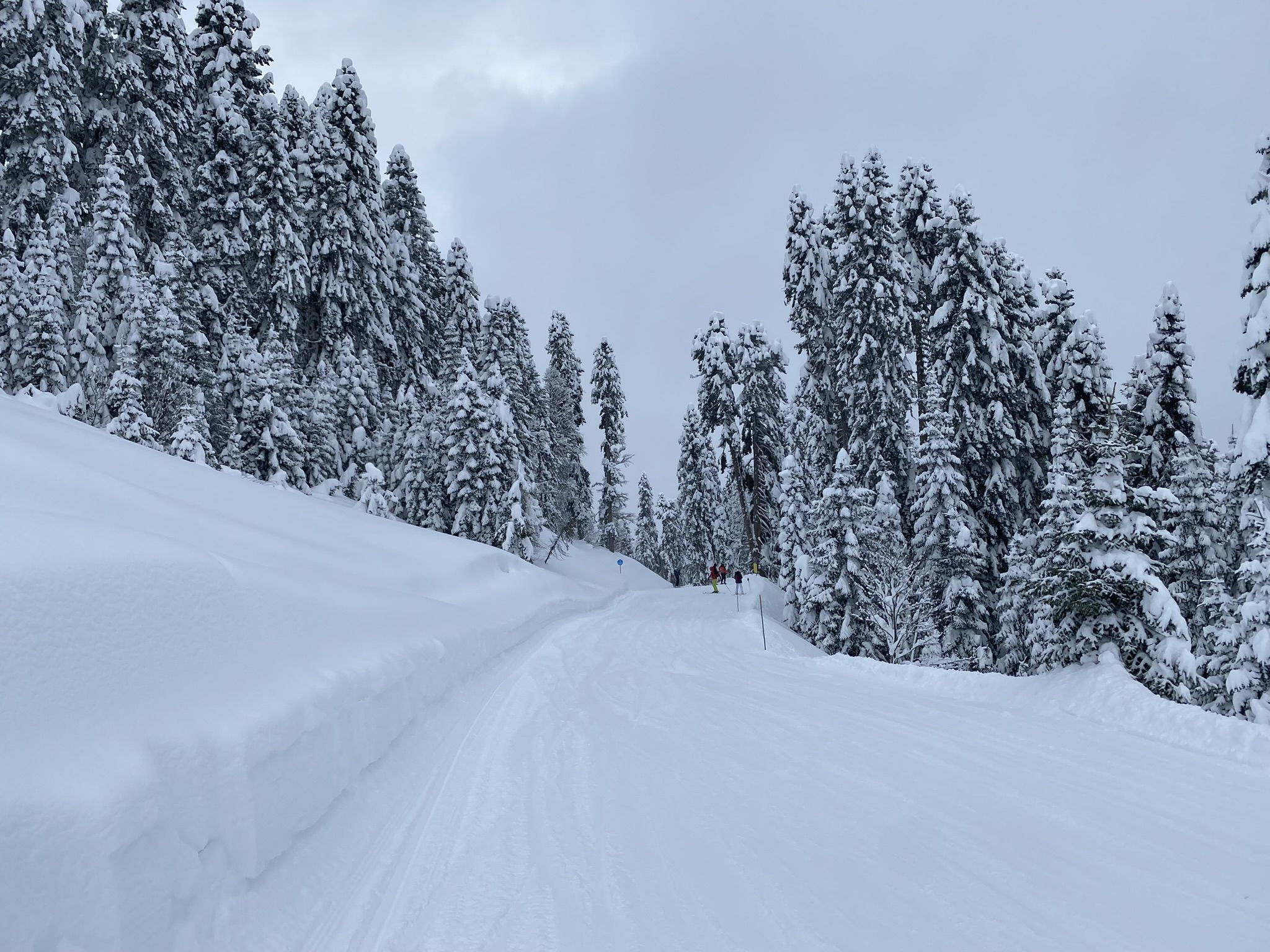 Красивая заснеженная трасса Календула на Южном склоне Роза Хутор – фотографии России