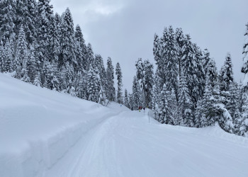 Красивая заснеженная трасса Календула на Южном склоне Роза Хутор – фотографии России