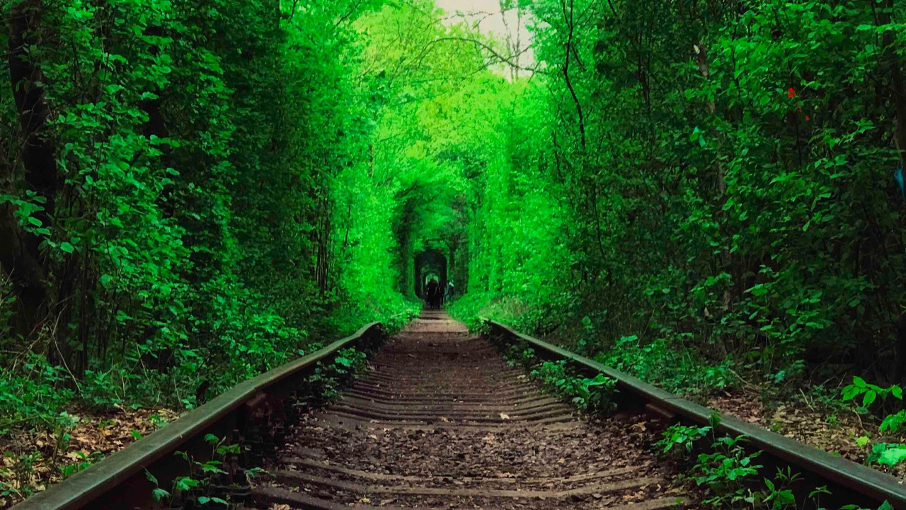 Ботаническое чудо тоннель любви, посёлок Клевань, Ровно, Украина – фотографии Украины