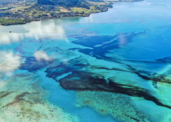 Нефть в океане у Маврикия в августе 2020 после крушения нефтяного танкера – фотографии Маврикия