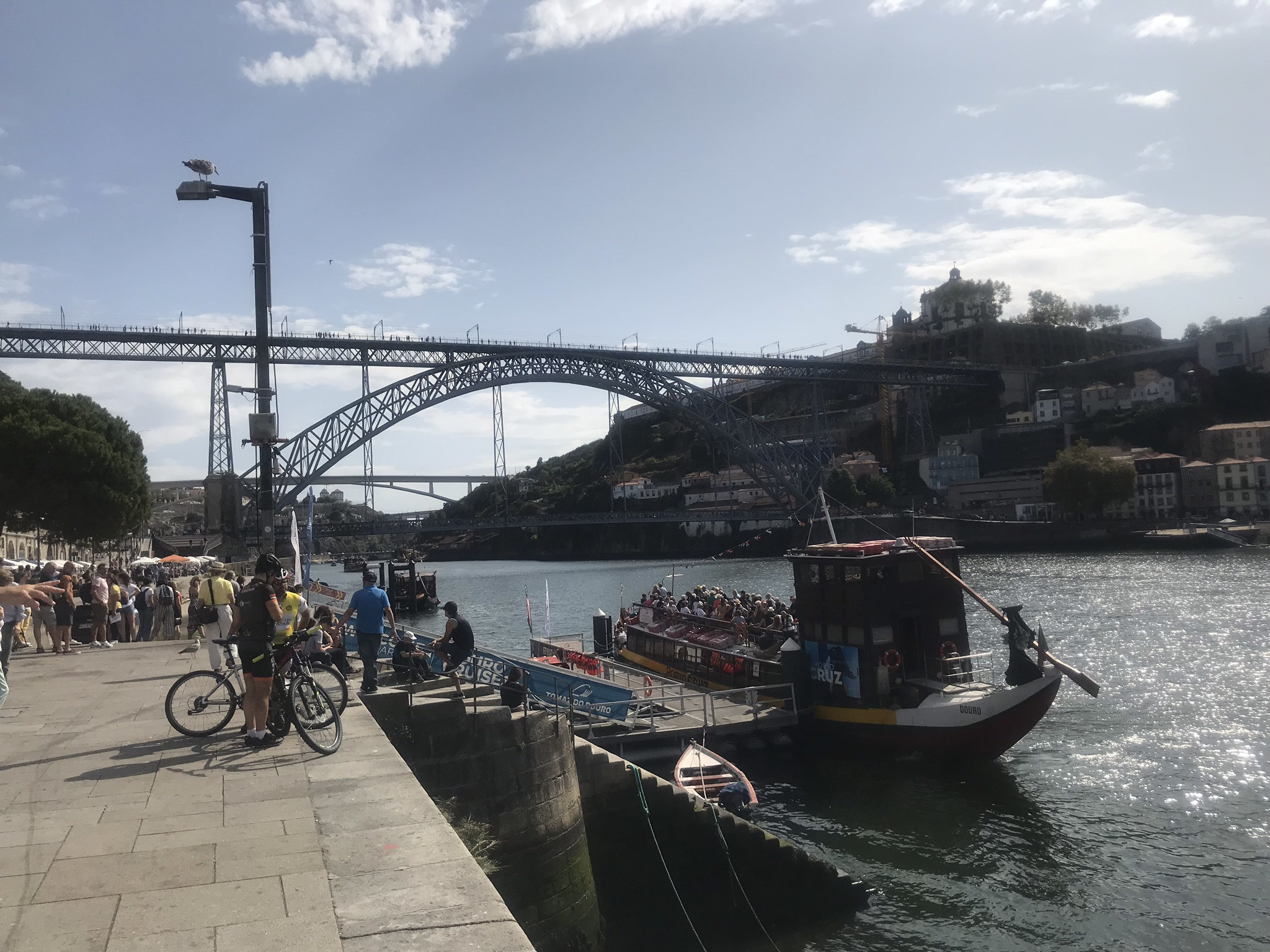 Вид на Понти-ди-Дон-Луиш I (Ponte Luis I) – фотографии Португалии