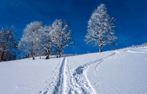 Тропинка в снегу. Санкт Йохан. Австрия – фотографии Австрии