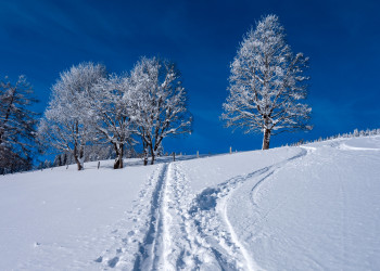 Тропинка в снегу. Санкт Йохан. Австрия – фотографии Австрии
