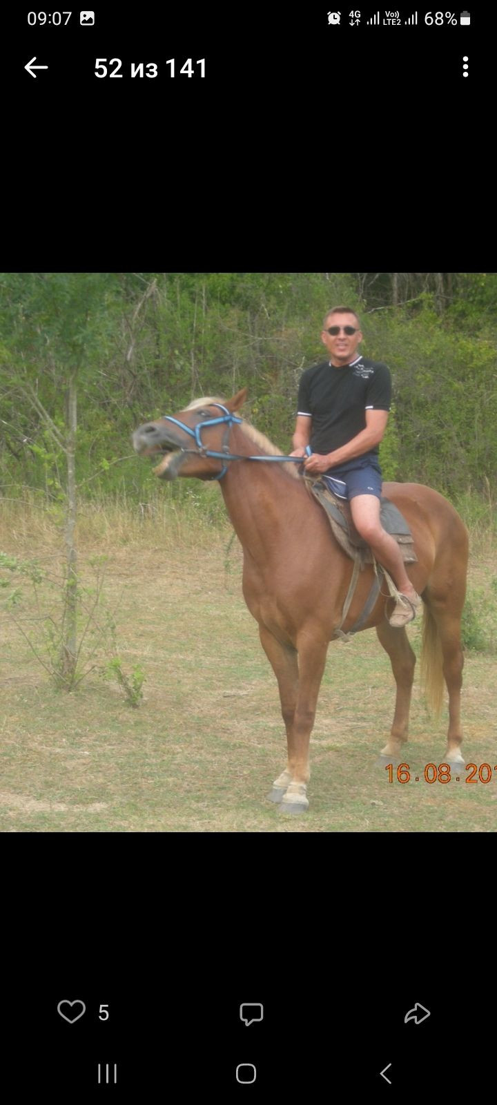 На коне – фотографии России