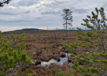 Гора Апия – фотографии