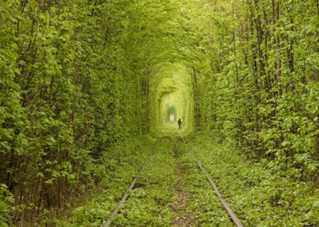 Тоннель любви (Tunnel of Love) рядом с посёлком Клевань, Ровно, Украина – фотографии Украины