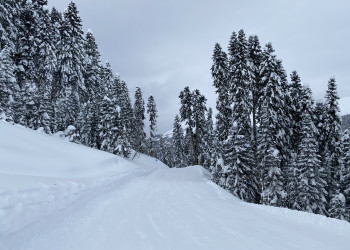 Роза Хутор Южный склон, синяя трасса Календула – фотографии России