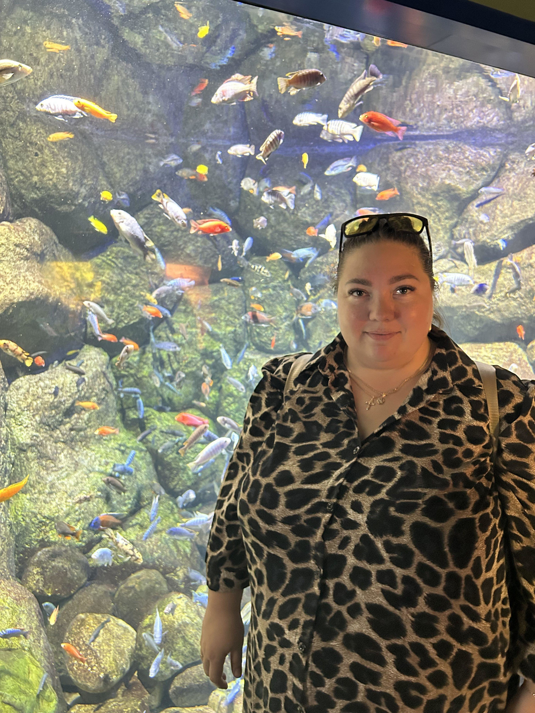 Опять я – фотографии России