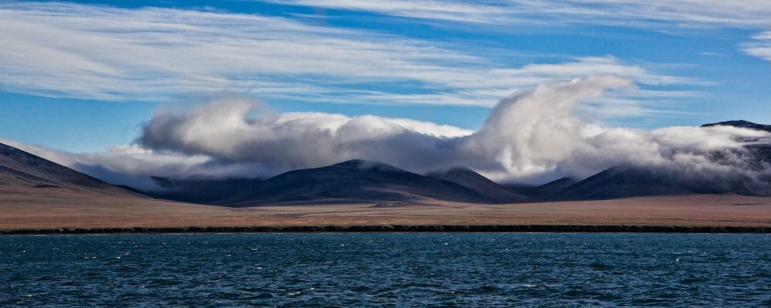 Остров Врангеля 11 – фотографии России
