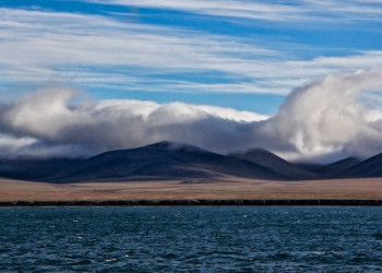 Остров Врангеля 11 – фотографии России