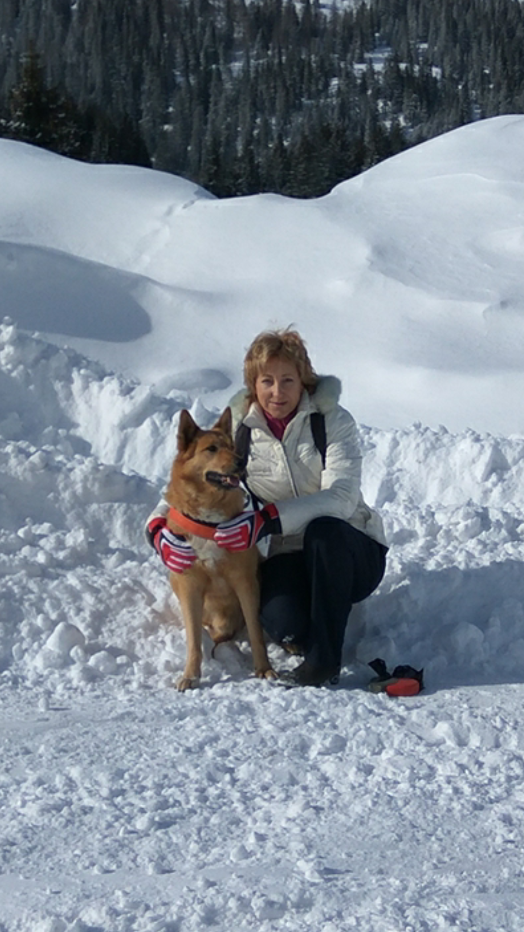 Ski – фотографии Швейцарии