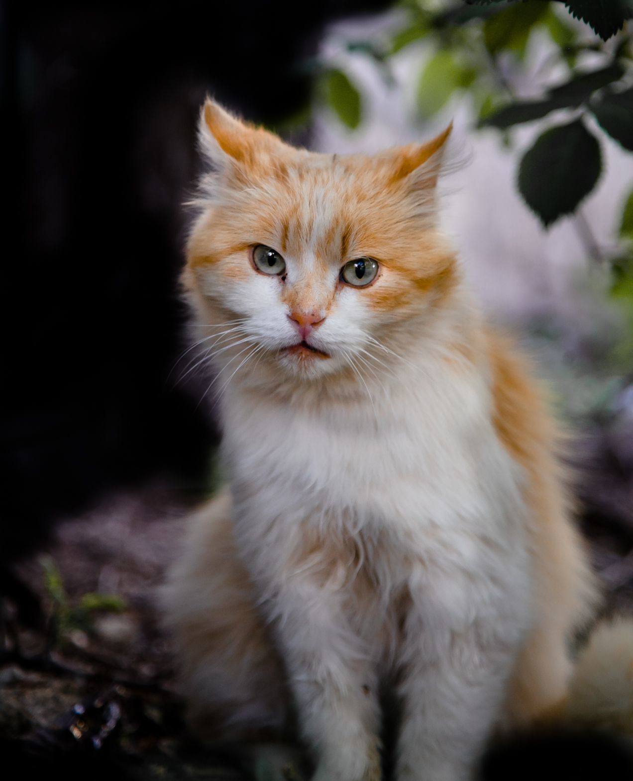 8 – фотографии