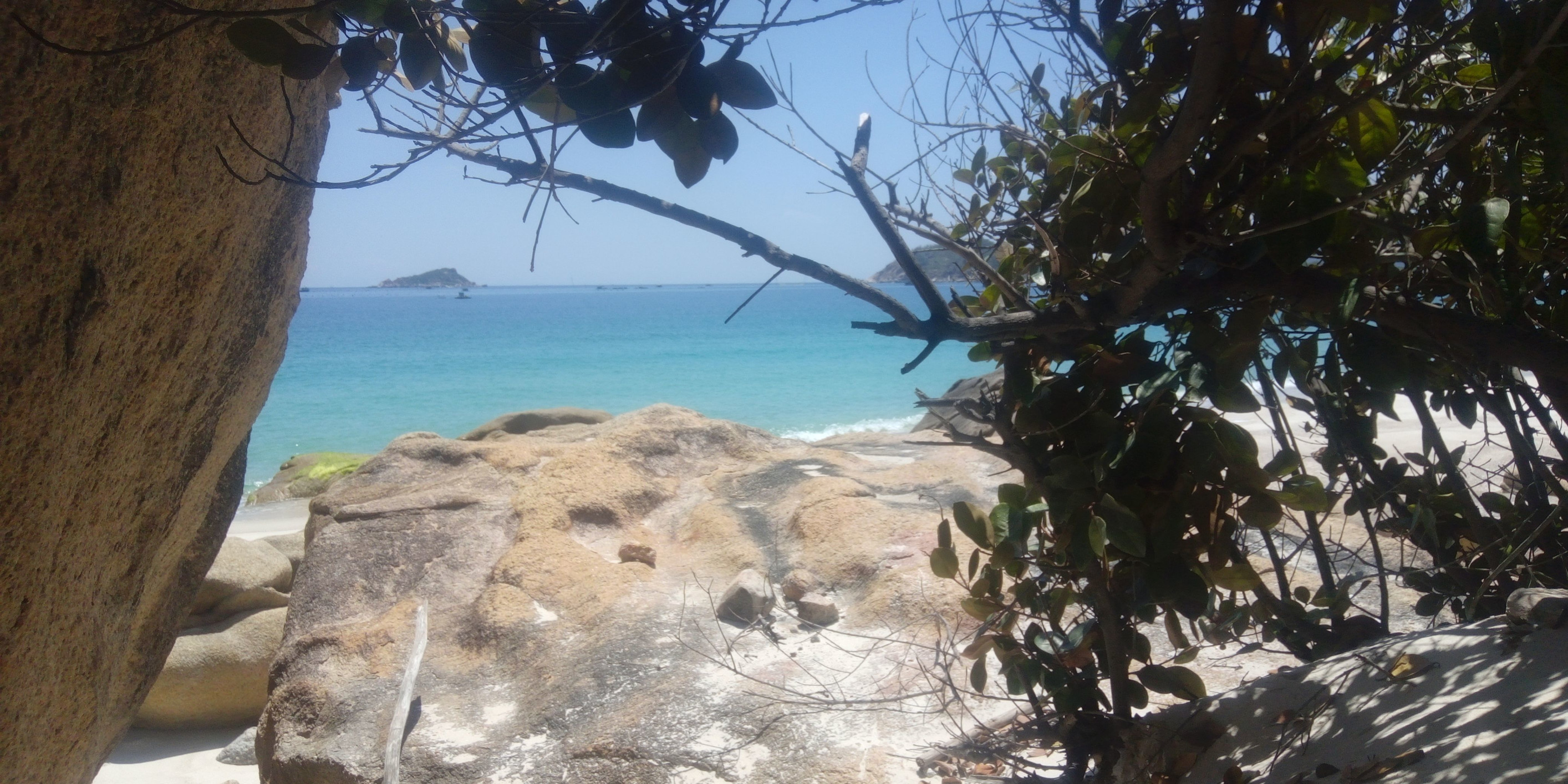 *** – фотографии