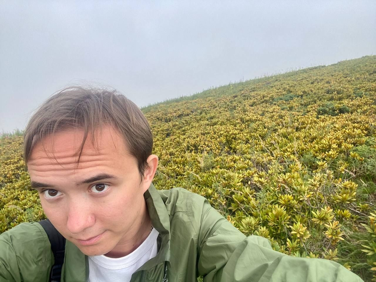 Красная поляна – фотографии России