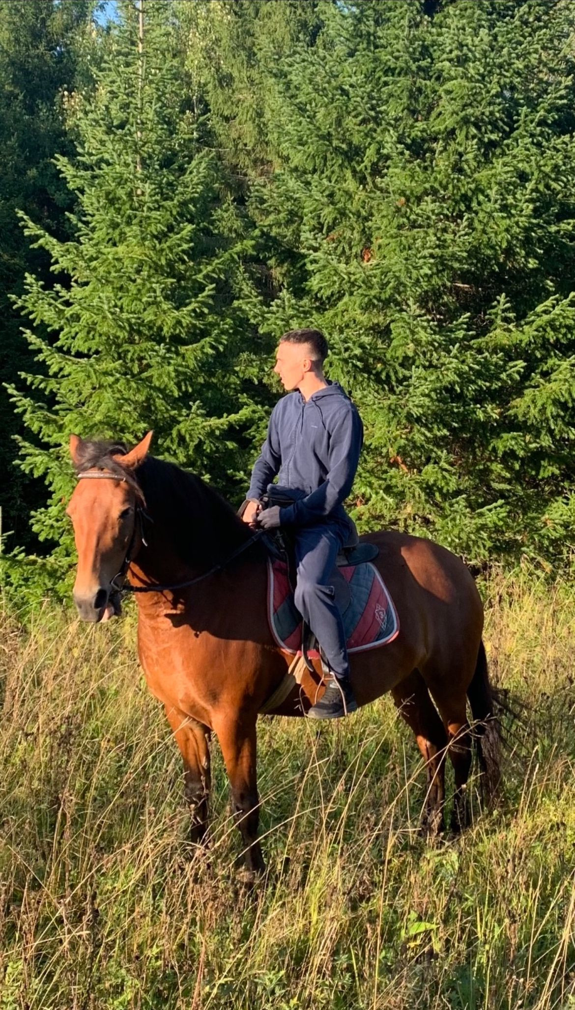 2 – фотографии