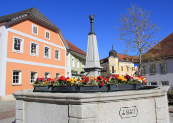 Клумба на центральной площади Санкт Флориана. Австрия – фотографии Австрии