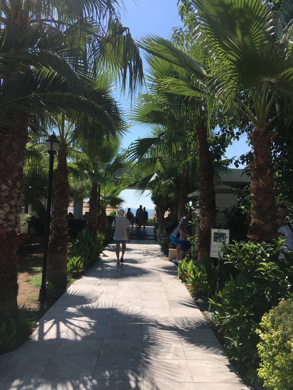 Мой – фотографии