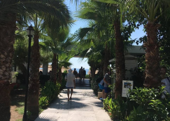 Мой – фотографии