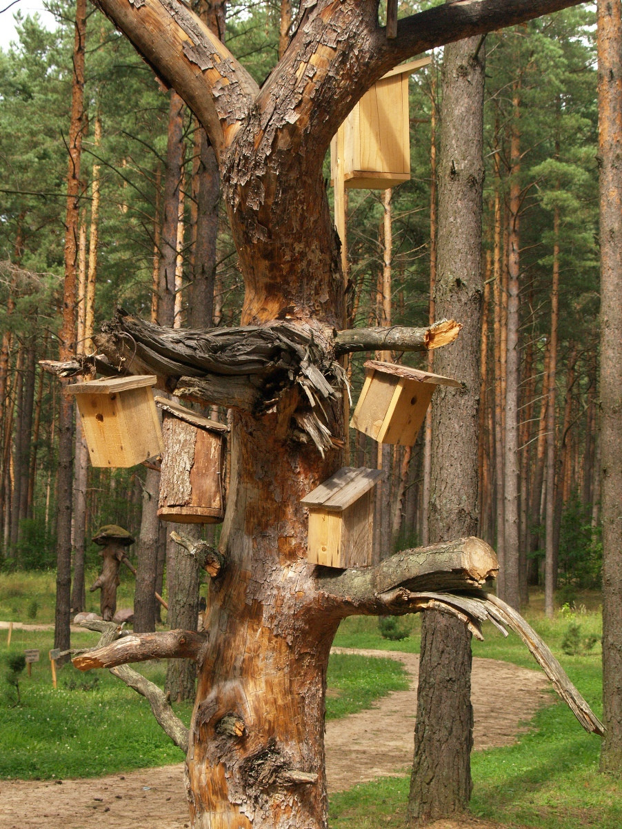 Музей Лесное Эхо в городе Друскининкай (Литва) – фотографии Литвы