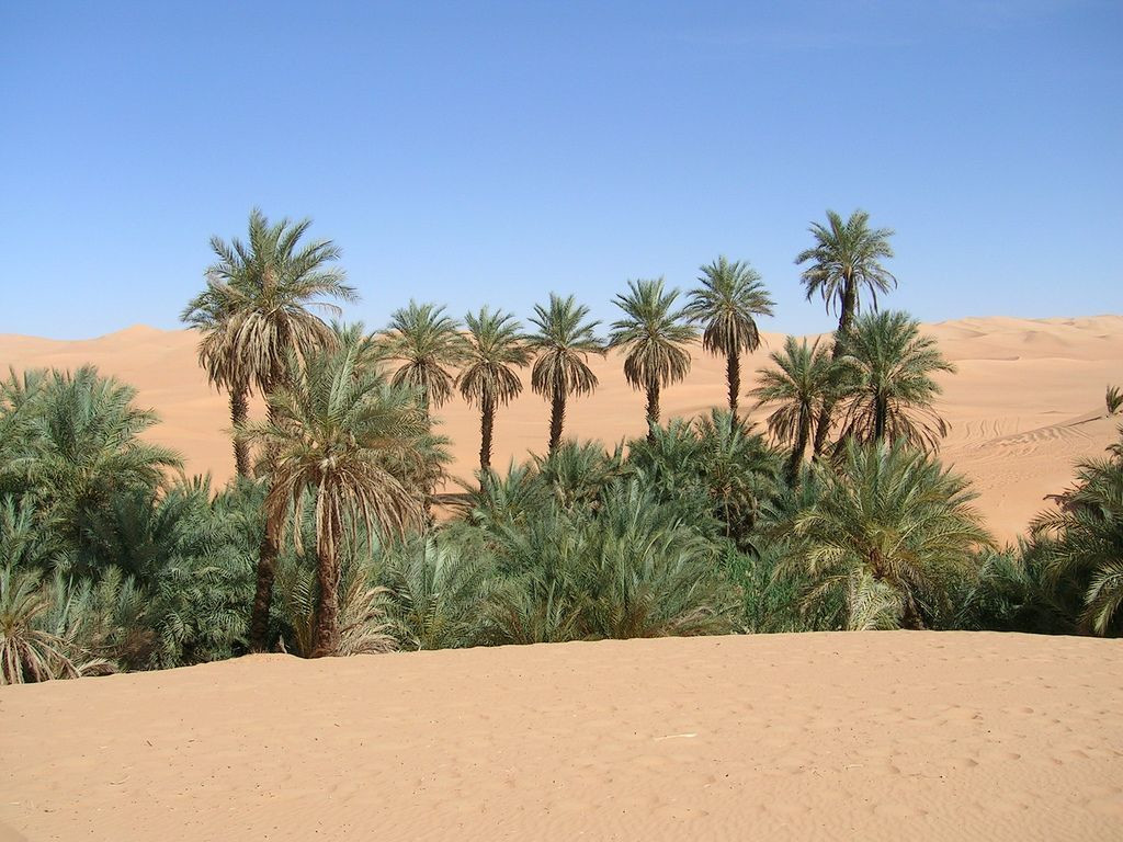 Оазис Убари 9 – фотографии